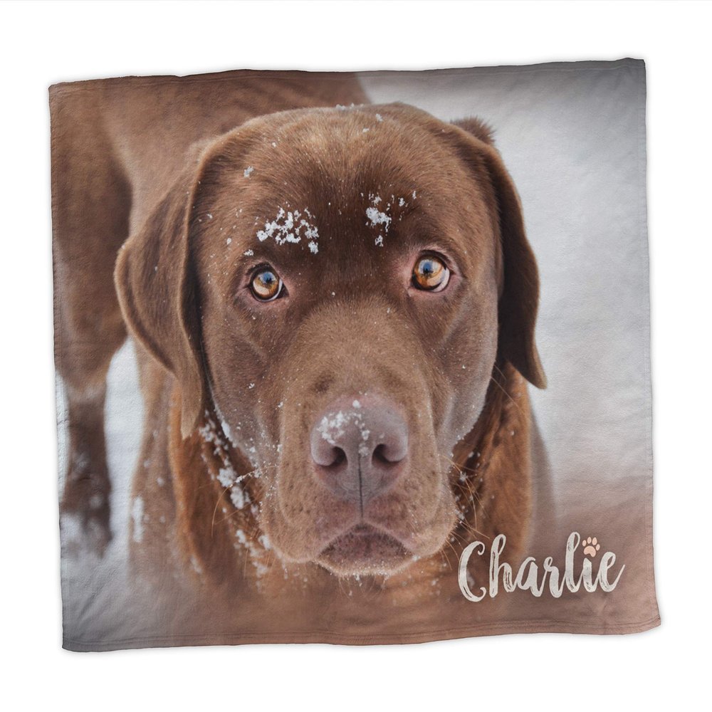 Pawpillo Pet Memorial Custom Photo Plush Fleece Throw Blanket Large 60" x 80"