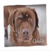 Pawpillo Pet Memorial Custom Photo Plush Fleece Throw Blanket Large 60" x 80" view 1