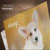 Pawpillo Pet Memorial Custom Photo Plush Fleece Throw Blanket Large 60" x 80" view 2