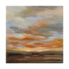 Trademark Fine Art High Desert Sky II by Silvia Vassileva, 24x24 view 1