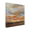 Trademark Fine Art High Desert Sky II by Silvia Vassileva, 24x24 view 2
