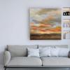 Trademark Fine Art High Desert Sky II by Silvia Vassileva, 24x24 view 3