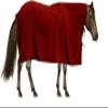 The Epic Animal Polar Fleece Square Cooler view 1