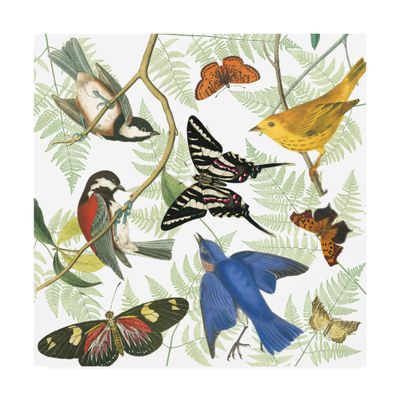 Trademark Fine Art Natures Flight II by Wild Apple Portfolio, 18x18