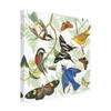Trademark Fine Art Natures Flight II by Wild Apple Portfolio, 18x18 view 2