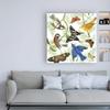 Trademark Fine Art Natures Flight II by Wild Apple Portfolio, 18x18 view 3