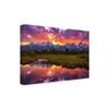 Trademark Fine Art Black Ponds Sunset 1 by Darren White Photography, 16x24 view 2