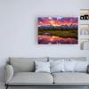 Trademark Fine Art Black Ponds Sunset 1 by Darren White Photography, 16x24 view 3