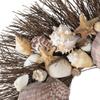 ANDALUCA Summer Seashell & Starfish 20" Wreath Natural Preserved (Natural) view 2