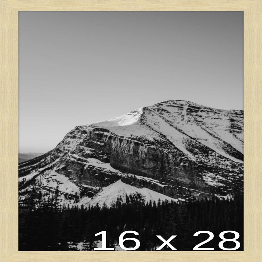 Frame It Easy 16 x 28 Wheat Wood Frame (Derby)