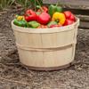 SHIWAGIN USA Made Poplar Wooden Farmhouse Storage Basket Set of 2, 11.75" x 11.75" Rectangular, Natural view 2