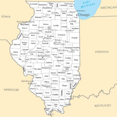 Home Comforts Illinois State County Map City Chicago Vivid Imagery Laminated Poster Print-20 Inch by 30 Inch Laminated Poster With Bright Colors And Vivid Imagery