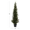 5-Foot-Tall Artificial Cedar Topiary Trees- Potted Indoor or Outdoor UV Protection Plastic Tree in Pot for Home or Office by Pure Garden view 2