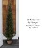 5-Foot-Tall Artificial Cedar Topiary Trees- Potted Indoor or Outdoor UV Protection Plastic Tree in Pot for Home or Office by Pure Garden view 3