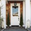 5-Foot-Tall Artificial Cedar Topiary Trees- Potted Indoor or Outdoor UV Protection Plastic Tree in Pot for Home or Office by Pure Garden view 4