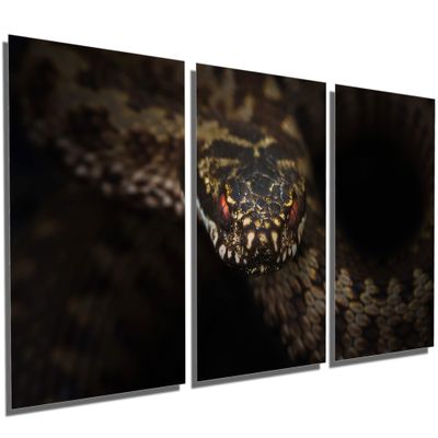 72 x 36 TOTAL - Viper Snake Wall Art Metal Print - 3 Panel split, Triptych HD aluminum multi panel. wall decor home