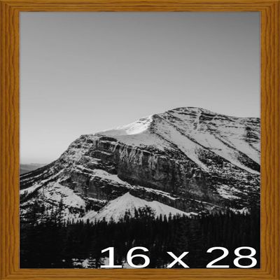 Frame It Easy 16 x 28 Hazel Wood Frame (Derby)