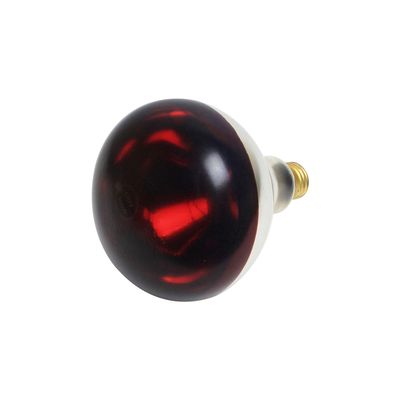 Thunder Group SEJ92001R Heat Lamp Bulb 250-watt Uncoated