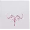 Decadent Flourish Place Cards, Burgundy (Choose Color), Set of 60, Pre-cut and Scored - Wedding, Party, Dinner, and Special Events - Made in the USA view 3