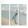 Renditions Gallery 3 Panel Beach Set Heron Dcor for Home, Office, Bedroom, Livingroom, Wall Art 24X36 view 1