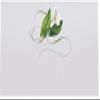 Calla Lily Swirl Place Cards, Set of 150, Pre-cut and Scored - Wedding, Party, Dinner, and Special Events - Made in the USA view 3
