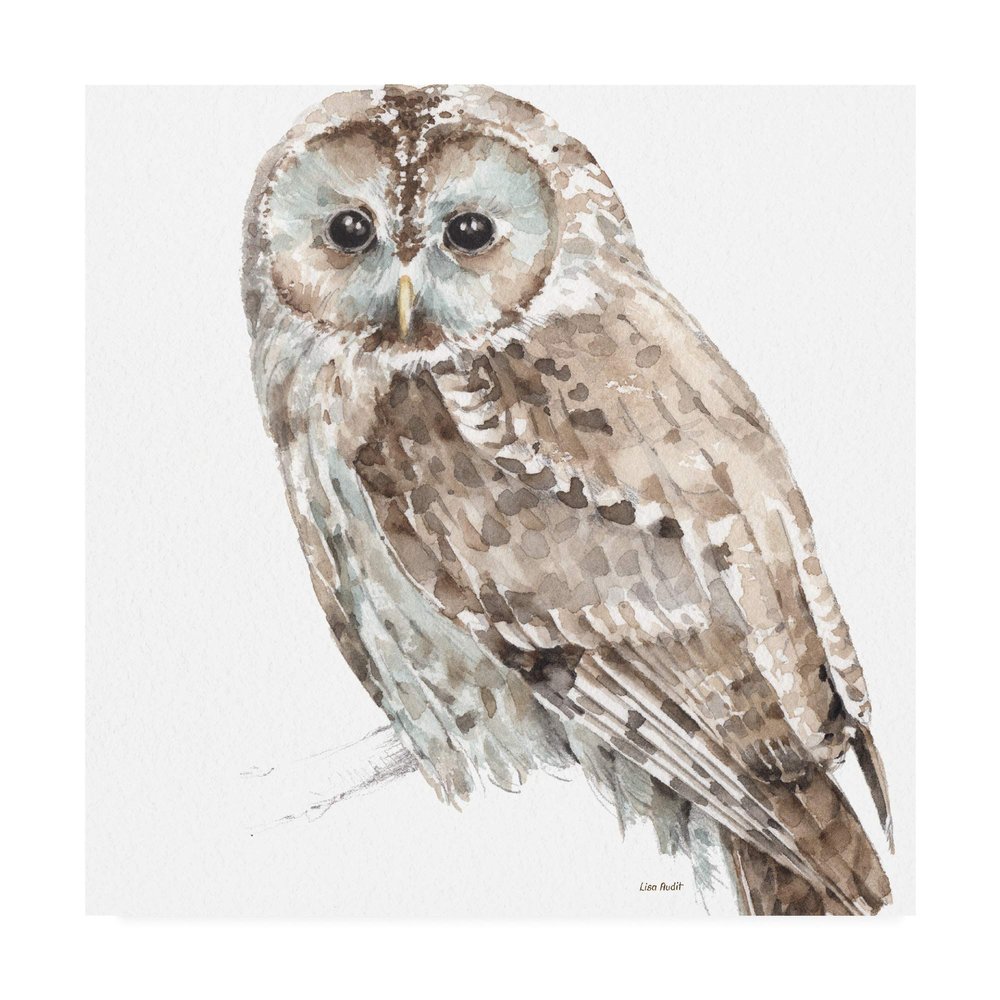 Trademark Fine Art Forest Friends III Soft Shade by Lisa Audit, 24x24