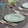 Posh Setting Vintage Disposable Dinnerware Set - Heavy Duty Plastic Plates, 60 Pack with 30 Appetizer & 30 Dinner Plates for Wedding, Light Green view 2