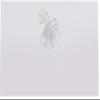 Wedding Bells Place Cards, Silver, Set of 150, Pre-cut and Scored - Wedding, Party, Dinner, and Special Events - Made in the USA view 3