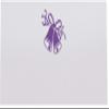 Wedding Bells Place Cards, Purple, Set of 150, Pre-cut and Scored - Wedding, Party, Dinner, and Special Events - Made in the USA view 3