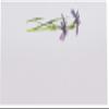 Wispy Purple Iris Flowers Place Cards, Set of 150, Pre-cut and Scored - Wedding, Party, Dinner, and Special Events - Made in the USA view 3