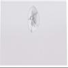 Sand Dollar Place Cards, Set of 150, Pre-cut and Scored - Wedding, Party, Dinner, and Special Events - Made in the USA view 3