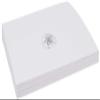 Sand Dollar Place Cards, Set of 150, Pre-cut and Scored - Wedding, Party, Dinner, and Special Events - Made in the USA view 4