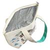 Dd Cold Insulation Bag Alien Beach Apds4060 view 2