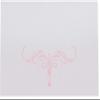 Decadent Flourish Place Cards, Pink (Choose Color), Set of 60, Pre-cut and Scored - Wedding, Party, Dinner, and Special Events - Made in the USA view 3