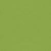 Oak Counter Stool in Medium Finish with Canter Kiwi Green Seat view 3