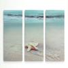 Renditions Gallery 3 Panel Beach Set Starfish Dcor for Home, Office, Bedroom, Livingroom, Wall Art 24X36 view 1