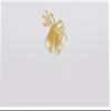 Wedding Bells Place Cards, Gold, Set of 150, Pre-cut and Scored - Wedding, Party, Dinner, and Special Events - Made in the USA view 3