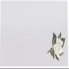 Assorted Flowers Place Cards, Set of 150, Pre-cut and Scored - Wedding, Party, Dinner, and Special Events - Made in the USA view 3