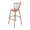 CGF-Barstools Footstool Bar Stool with Backrest Comfortable Dining Chair Kitchen Bar Cafe Restaurant | Velvet Soft Cushion | Metal Frame Chair, Maximum Support 440lbs view 1