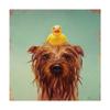 Trademark Fine Art Bath Time by Lucia Hefferna, 24x24 view 1