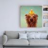 Trademark Fine Art Bath Time by Lucia Hefferna, 24x24 view 3