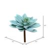 Vickerman 4.5" Artificial Green Graptoveria Titubans Pick - Set of 3 - Unique Colorful Succulent - Maintenance Free - - Home or Office Plants - Vibrant Color view 2