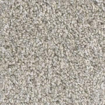 13 Pc 9"x27" - Glacier Falls, Dog Assist Carpet Stair Tread Set | ECONOMICAL Solutions Warm Touch 5/8" Multicolored Fibers with a Twist!