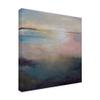 Trademark Fine Art Listen to The Silence Abstract by Karen Hal, 14x14 view 2