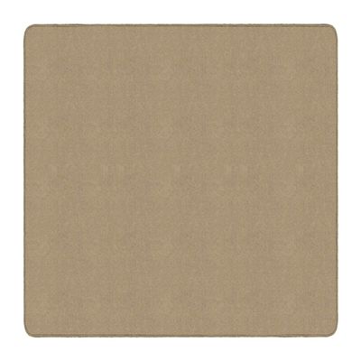 Flagship Carpet 6' x 9' Kids Nylon Ameristrong School Classroom Rug, Almond - Rectangle