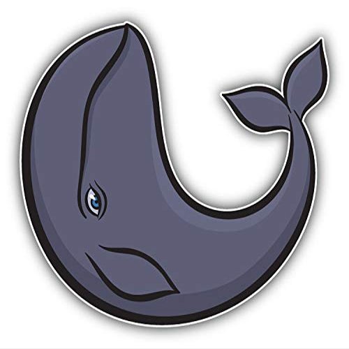 Magnet Funny Whale Cartoon Window Truck Car Vinyl Flexible Magnet Magnetic Bumper Sticker 5'' x 5''
