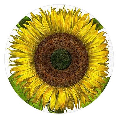 Besler Sunflower 12" Round Tempered Glass Cutting Board