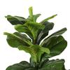 AMERIQUE Fee 6' Gorgeous & Dense Fiddle Leaf Fig Tree Artificial Silk Plant with UV Protection, with Nursery Plastic Pot, Feel Real Technology, Super Quality, 6 Feet, Green - AMLV8253A6 view 3