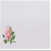 Pink Tea Rose Place Cards, Set of 150, Pre-cut and Scored - Wedding, Party, Dinner, and Special Events - Made in the USA view 3