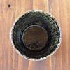 minoru touki Deep Green Glaze Roku-Soba Chiyohisa Green 8.6~6.9cm Set of 2 3.44H2.76in 5.29oz view 3